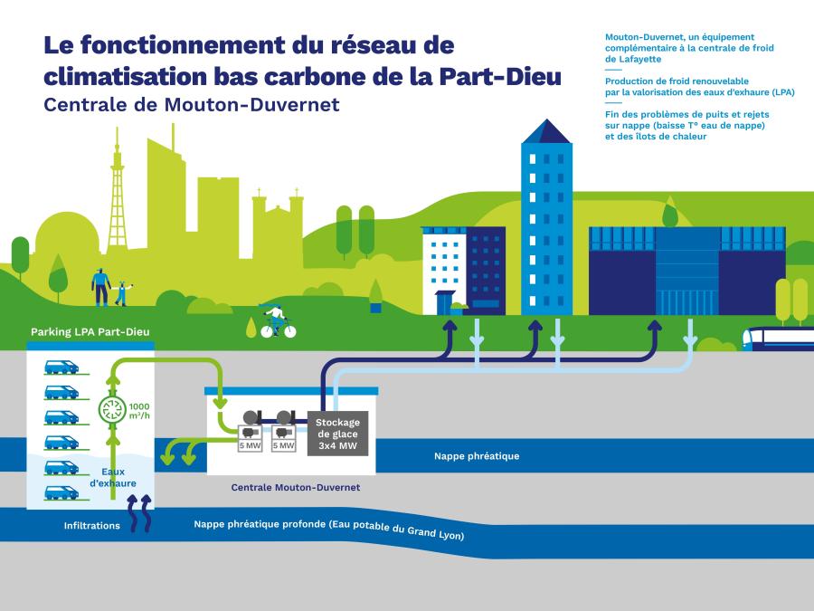 Schéma réseau de froid