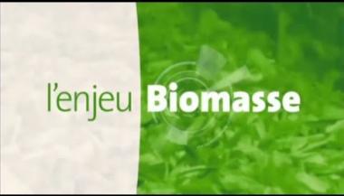 Vignette - L'enjeu biomasse